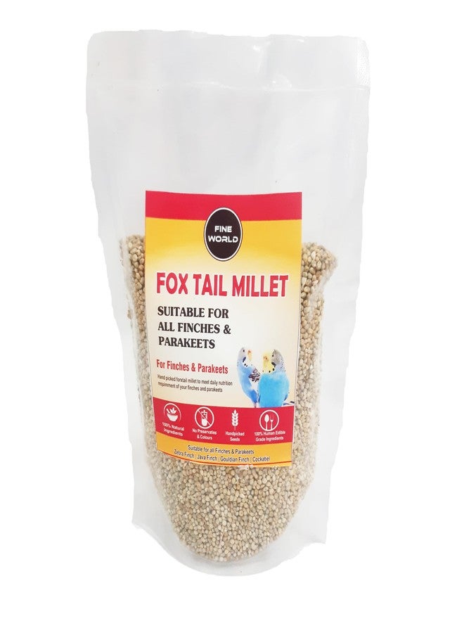 FINEWORLD Foxtail Millet Bird Food, 500g, Natural Grain Feed for Finches, Parakeets, Pigeons, Wild Birds, High Nutritious Seeds - Image 1
